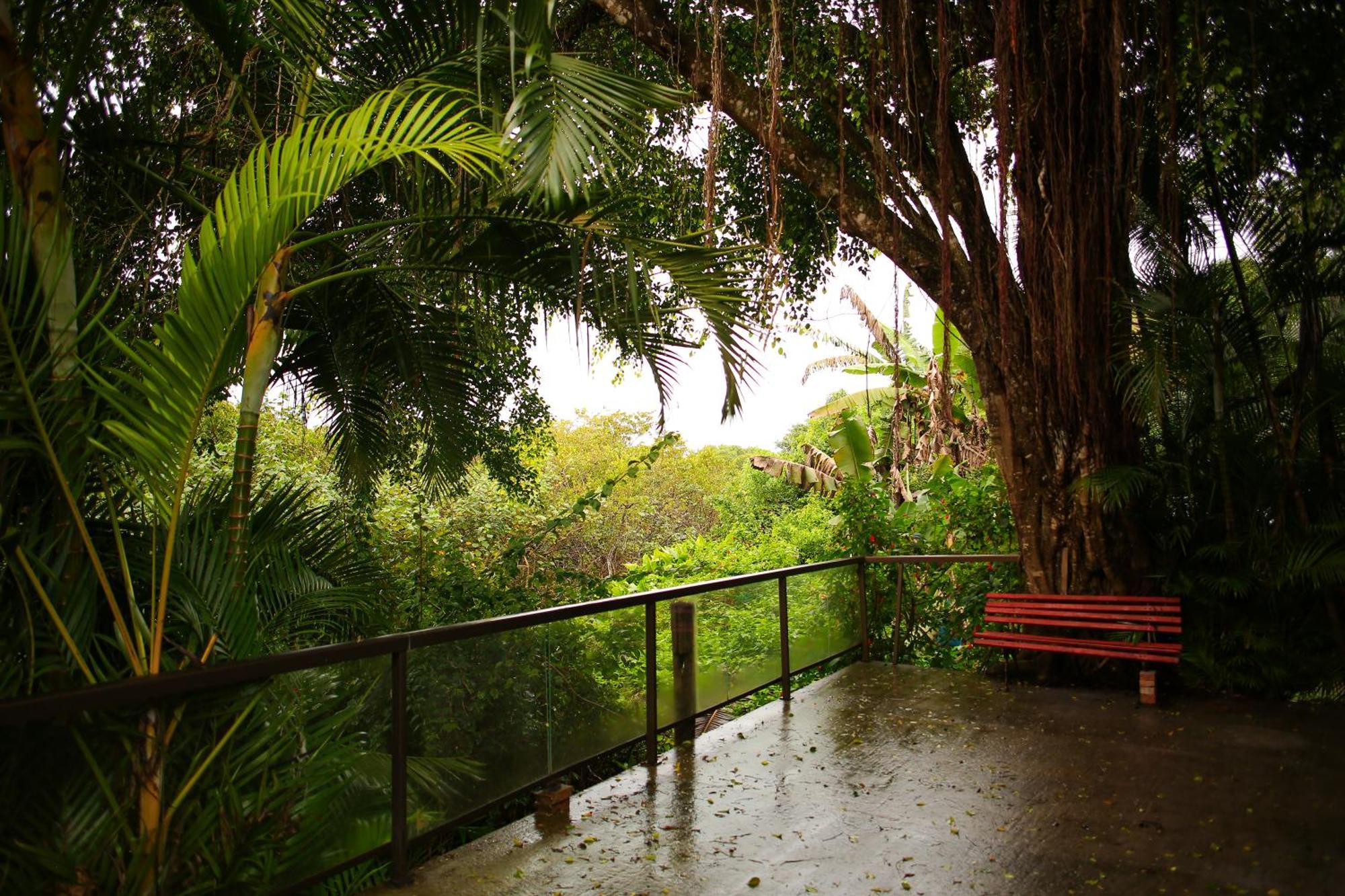 Pousada Villa Verde - Frente Para A Praia Do Farol อิลลาโดเมล ภายนอก รูปภาพ